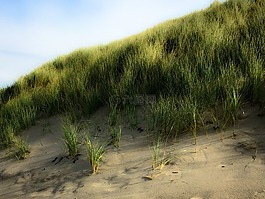 沙丘,水,海滩