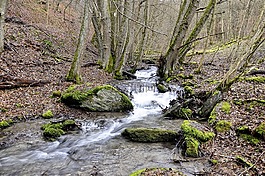 水,性質(zhì),過獨(dú)身生活