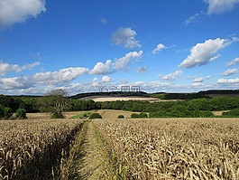 農(nóng)村,原野,小麥