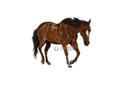 數字藝術作品,馬,藝術