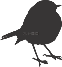 鳥(niǎo),麻雀,側(cè)影