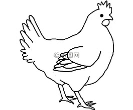 農(nóng)場,動物,雞