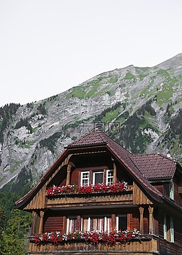 瑞士農舍,山,小木屋