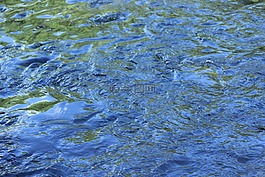 水,藍(lán)色,鏡像