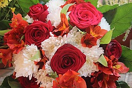 鮮花,玫瑰,花的