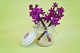 風(fēng)信子,花,鮮花