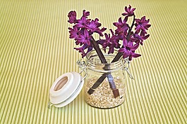 风信子,花,鲜花