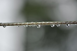 水,滴,曬衣繩