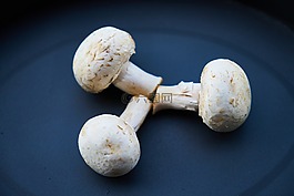 蘑菇,白,蔬菜