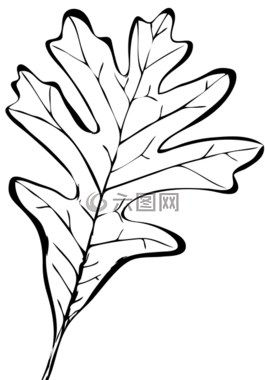 秋葉,秋季,工作表