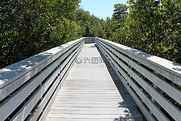 木橋,甲板,透視