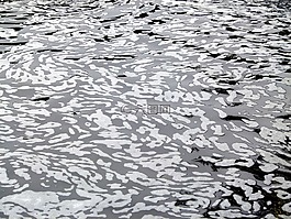 水,泡沫,旋流