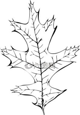 秋葉,秋季,工作表
