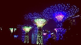 新加坡,夜景,直