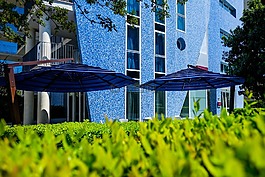 度假村,咖啡廳,餐廳