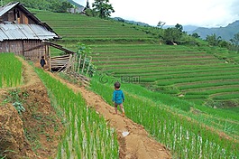 越南,河,東