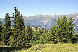 axalp,高山,牧场