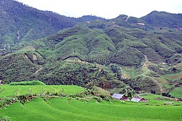 越南,東,亞洲