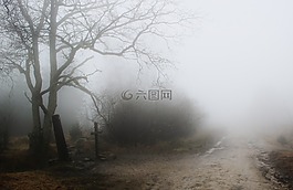 墳?zāi)?霧,秋季
