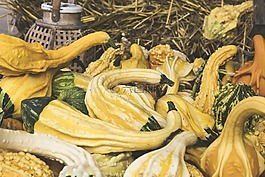 南瓜,水果,蔬菜