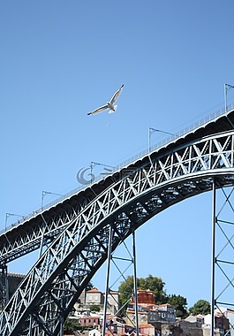 海鷗,橋,波爾圖