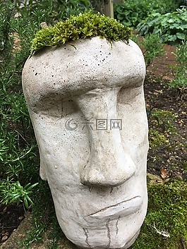 花園,苔,綠色