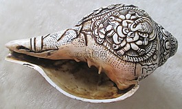 蝸牛,外殼,海