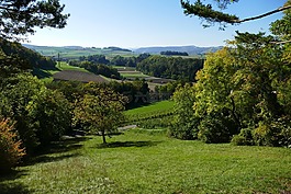 秋季,草地,性質(zhì)