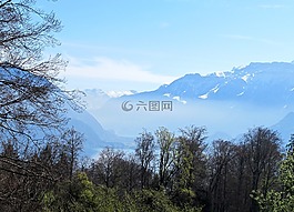 愿景,湖,森林