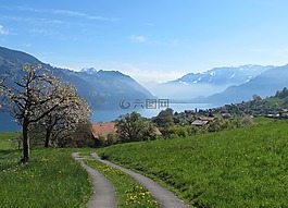 村,湖,查看