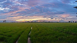 景觀,日落,天空