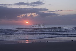 日出,海灘,海