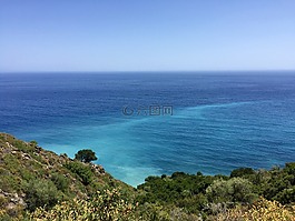 撒丁島,海岸,樹(shù)