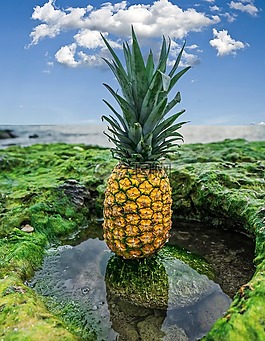 菠蘿,水果,食品