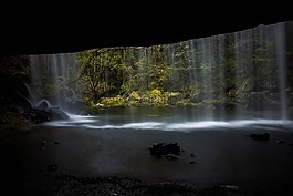 瀑布,日本,新綠