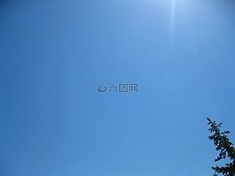 樹,太陽,天空