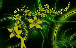 植物群,纏繞,分形
