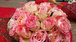 玫瑰,buquett,廠