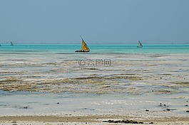 桑給巴爾島,坦桑尼亞,非洲