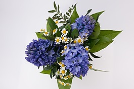 花束,风信子,asparagaceae