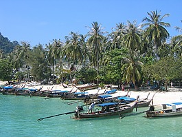 泰國,海,樹