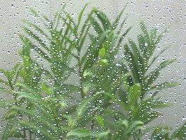 雨,滴,花瓶
