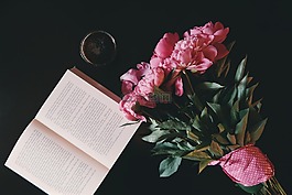盛開,開花,書