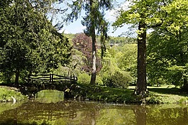公園,橋,水