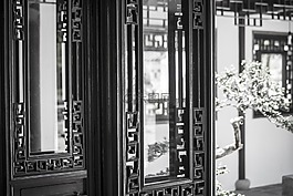 黑色和白色,结构,木材