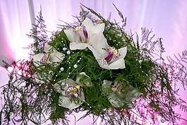 氣氛,大氣,氣候
