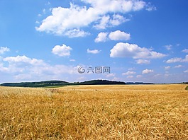場(chǎng),糧食,天空