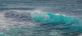水,冲浪,海