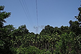 主塔,電力,權(quán)力