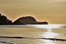 海灘,海,假期